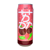 Rico - Succo di frutta al Litchi 490ml